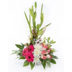 משלוח פרחים בראשון לציון - הסחלב: חנות פרחים לכל אירוע - הסידור המלכותי