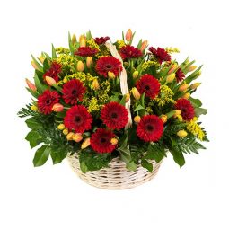 פרחים ליולדת - כיפה אדומה
