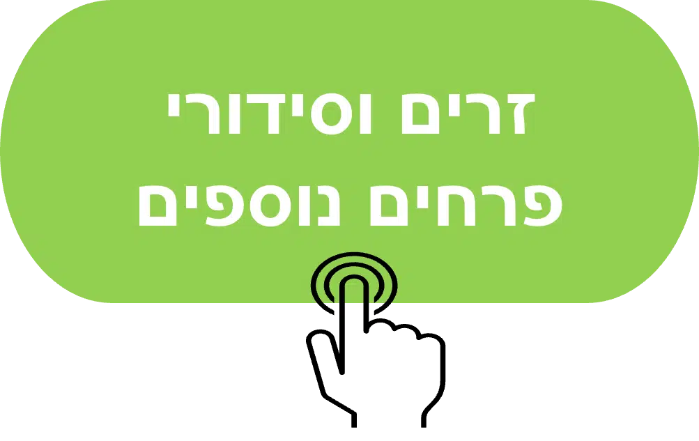 כפתור לזרים וסידורי פרחים נוספים