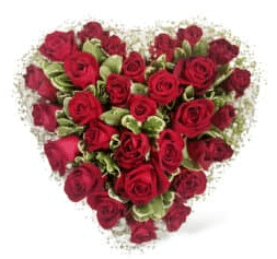 משלוח פרחים בראשון לציון - הסחלב: חנות פרחים לכל אירוע - הלב שלי לנצח