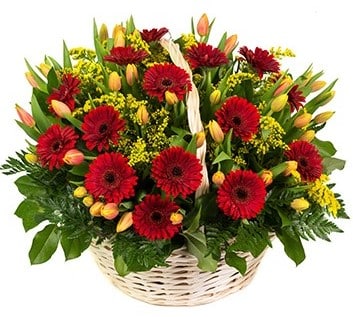 משלוח פרחים בראשון לציון - הסחלב: חנות פרחים לכל אירוע - כיפה אדומה