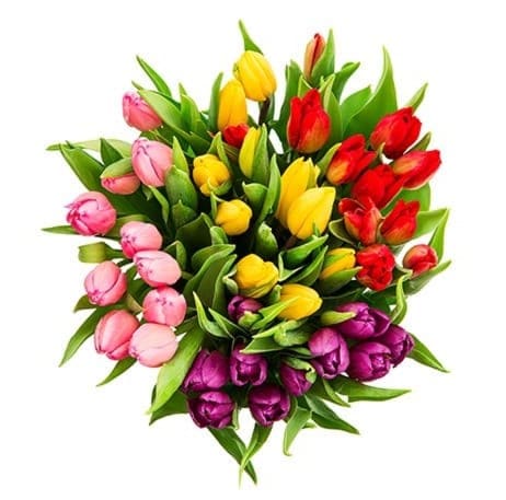 משלוח פרחים - זר פרחים אלף נשיקות