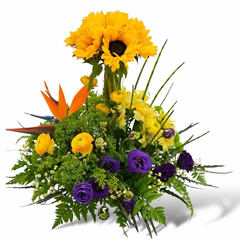 משלוח פרחים בראשון לציון - הסחלב: חנות פרחים לכל אירוע - חמניות בגן העדן